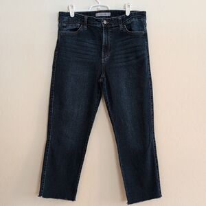Joe's Jeans Straight Leg Crop Capri Denim Raw Hem - Size 28